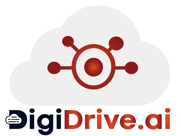 DigiDrive DMS