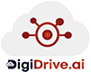 DigiDrive DMS